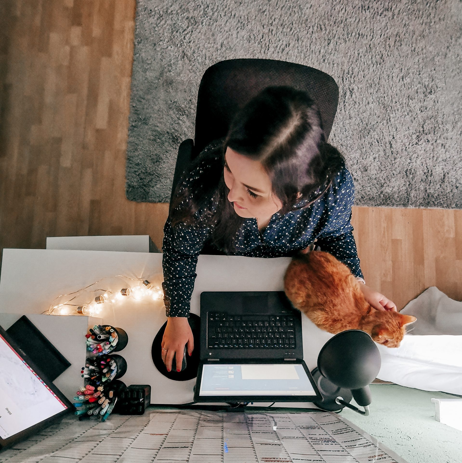 copywriter pisze teksty przy biurku copywriter sprzedażowy copywriter z kotem